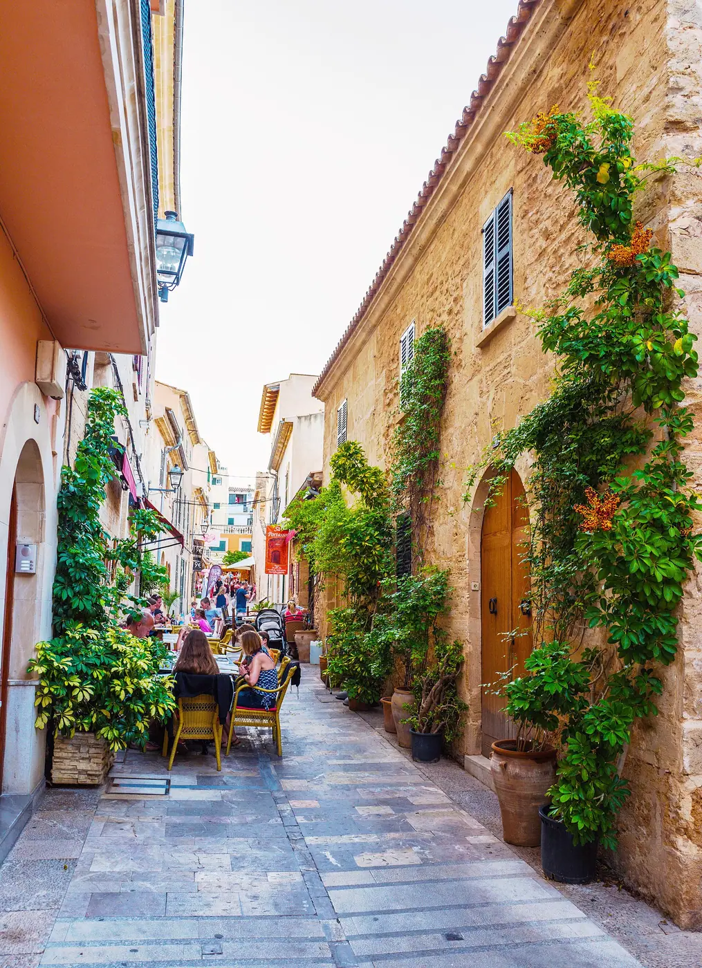 Ruelle pavée bordée de géraniums dans la vieille ville d'Alcúdia
