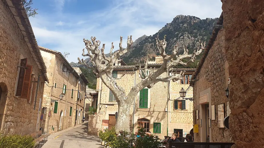La Plaza de la Concepción à Biniaraix, avec son platane emblématique et les montagnes en toile de fond.