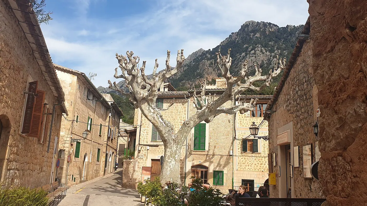 La Plaza de la Concepción à Biniaraix, avec son platane emblématique et les montagnes en toile de fond.