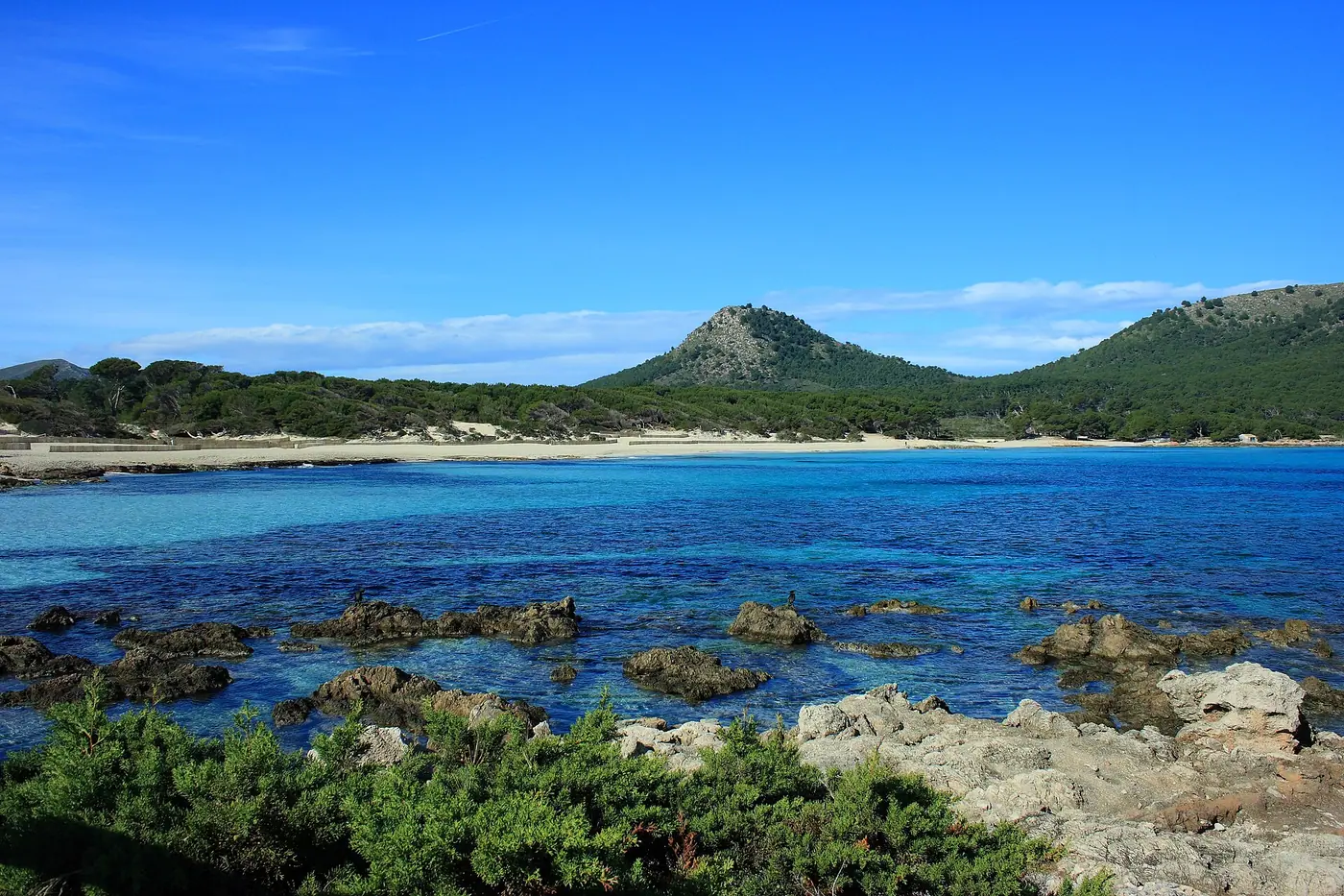 Large baie de Cala Agulla bordée de pins, eau turquoise.