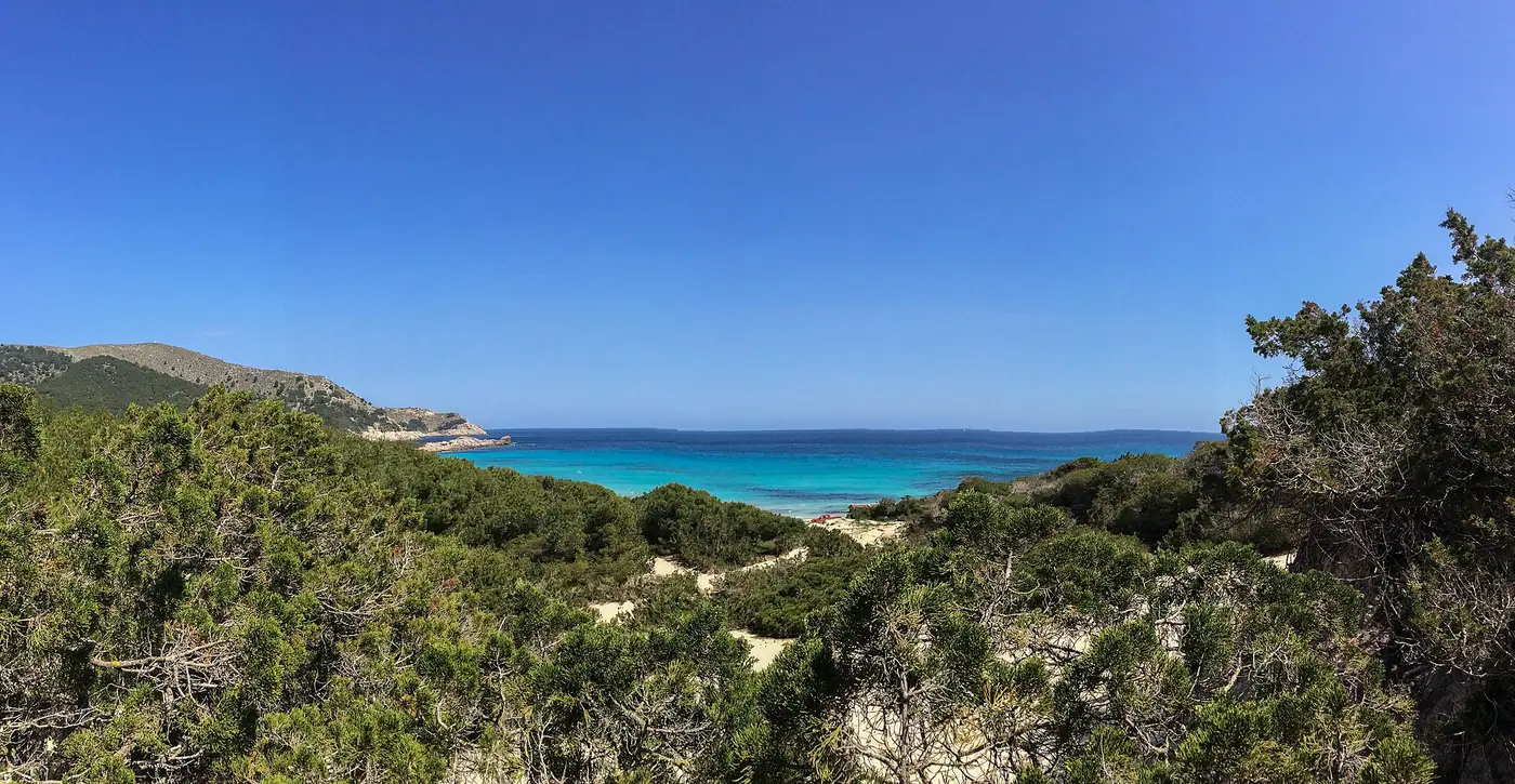 Vue aérienne de la pinède et de l'eau turquoise de Cala Agulla.