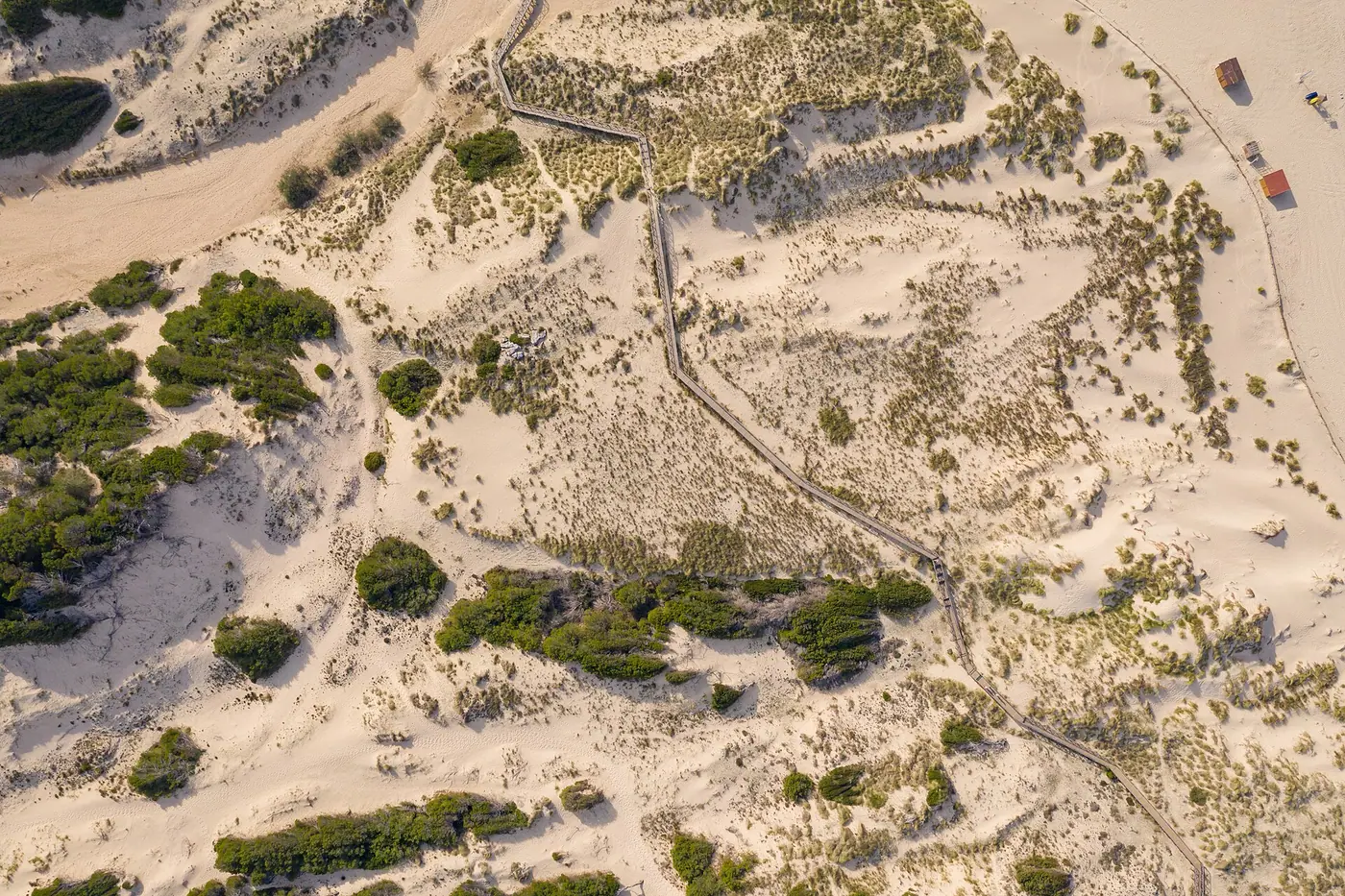 Passerelle en bois traversant les dunes de Cala Mesquida.