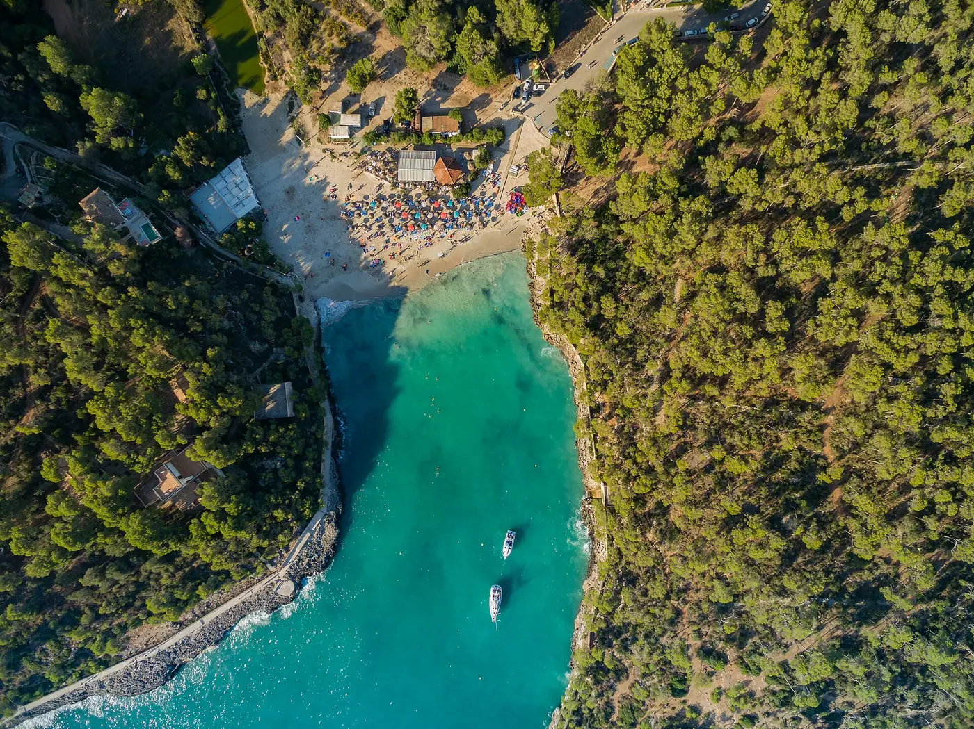 Vue aérienne spectaculaire de la crique de Cala Mondragó entre les pins.