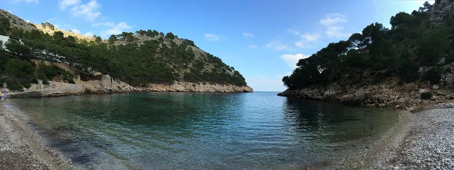 Anse de Cala Murta encadrée de pins, eau calme, presqu'île de Formentor.