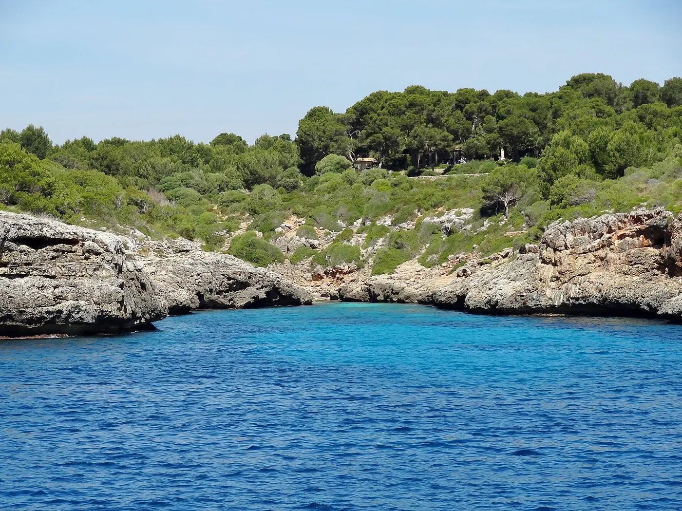 Eau turquoise intense de Cala Murta au pied des falaises boisées.