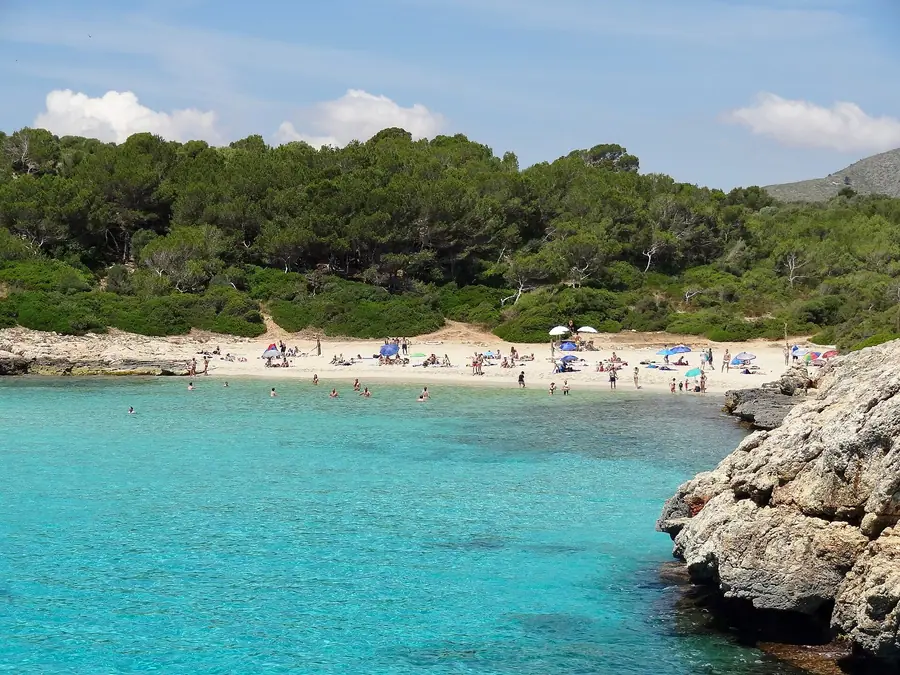Cala Varques et ses eaux turquoise entourées de pins, crique sauvage préservée.