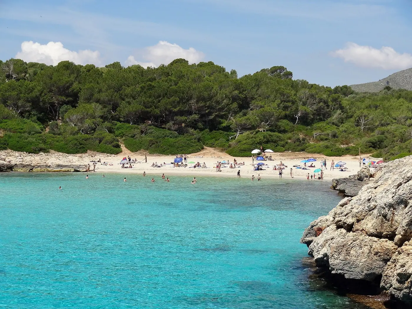 Cala Varques et ses eaux turquoise entourées de pins, crique sauvage préservée.