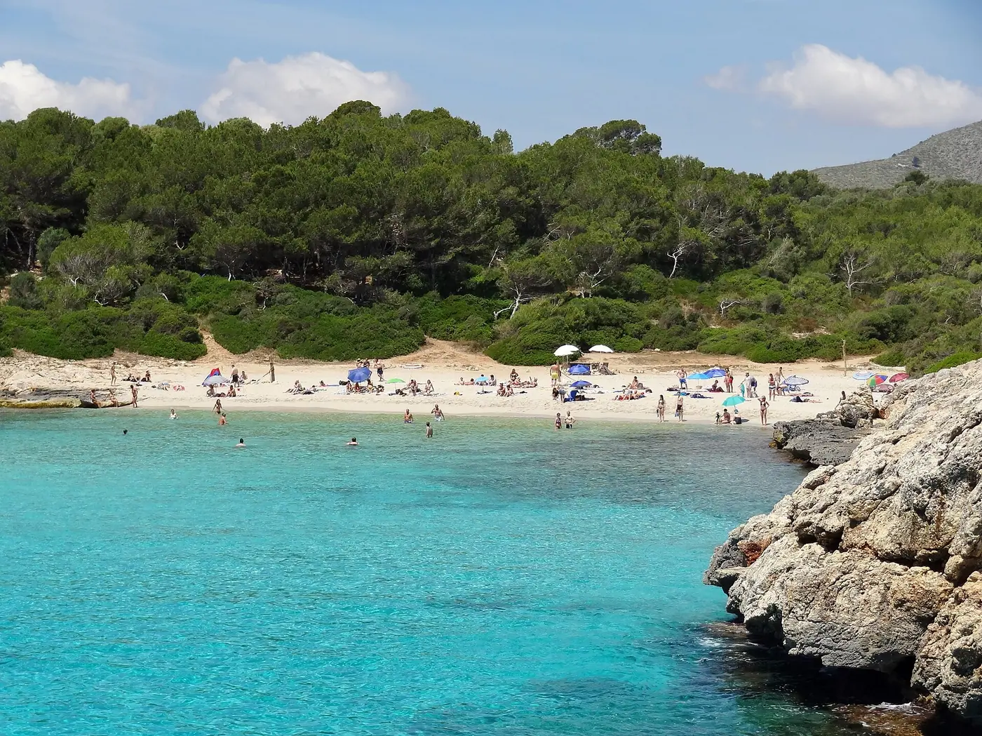 Vue sur la plage naturelle de Cala Varques nichée entre pinède et falaises.