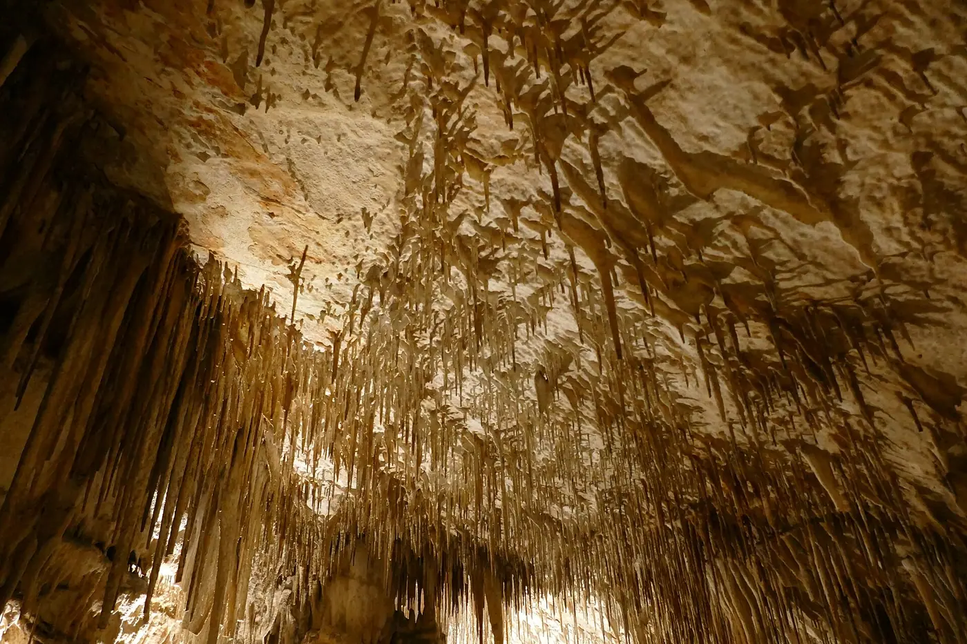 Stalactites et stalagmites illuminées à l'intérieur des Coves del Drac.