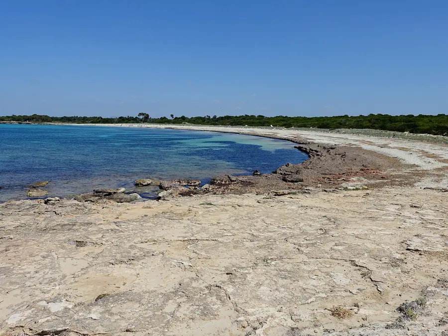 La plage sauvage d'Es Caragol, près du Cap de ses Salines, aux eaux turquoise.
