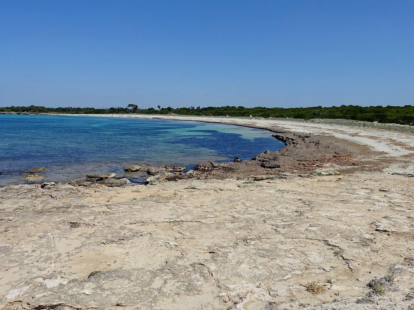 La plage sauvage d'Es Caragol, près du Cap de ses Salines, aux eaux turquoise.