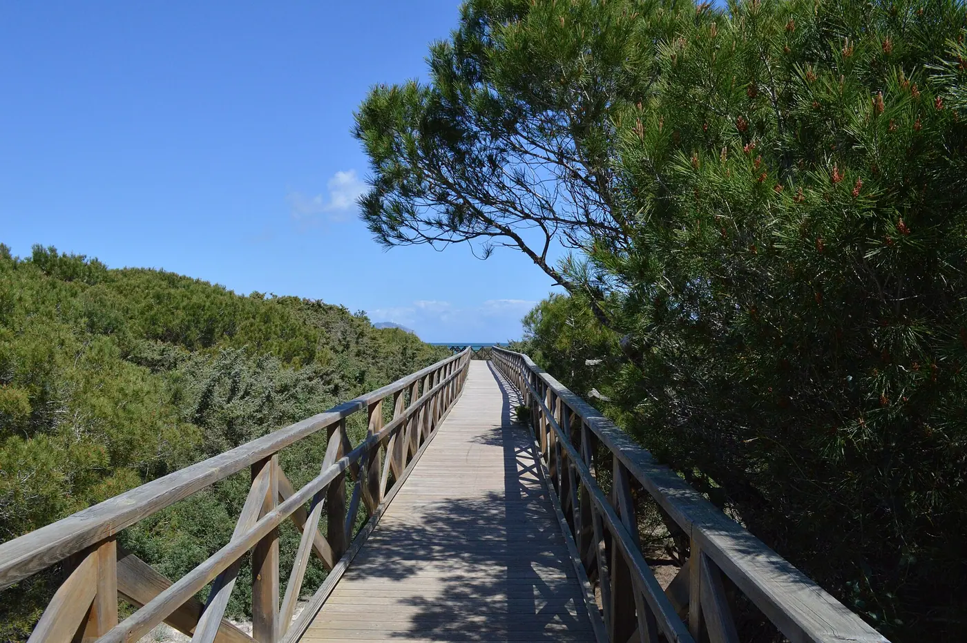 Ponton en bois traversant les dunes littorales d'Es Comú, lumière de fin de journée.