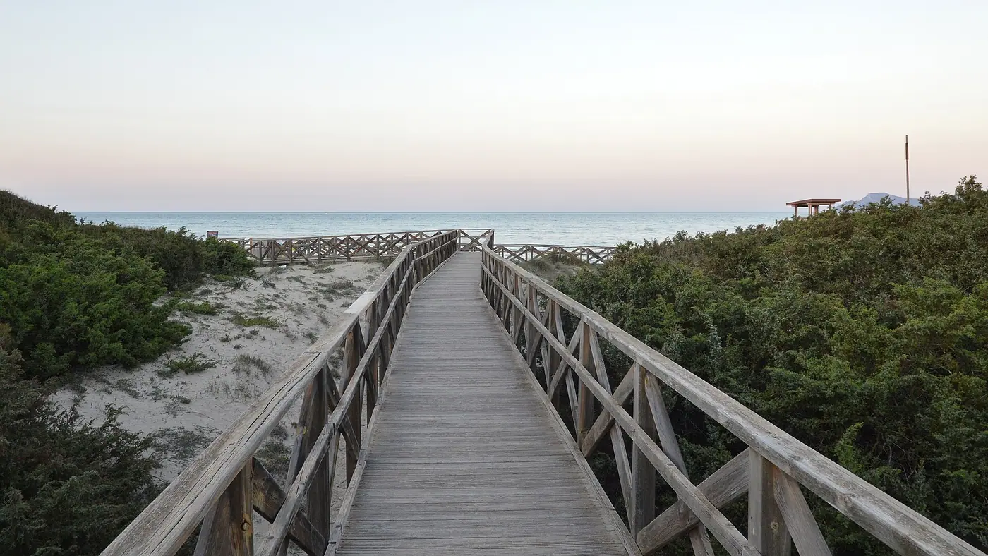 Passerelle en bois menant à la plage sauvage d'Es Comú, dunes du Parc Naturel de s'Albufera.