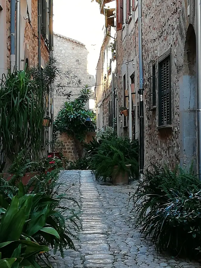 Ruelle fleurie de Fornalutx