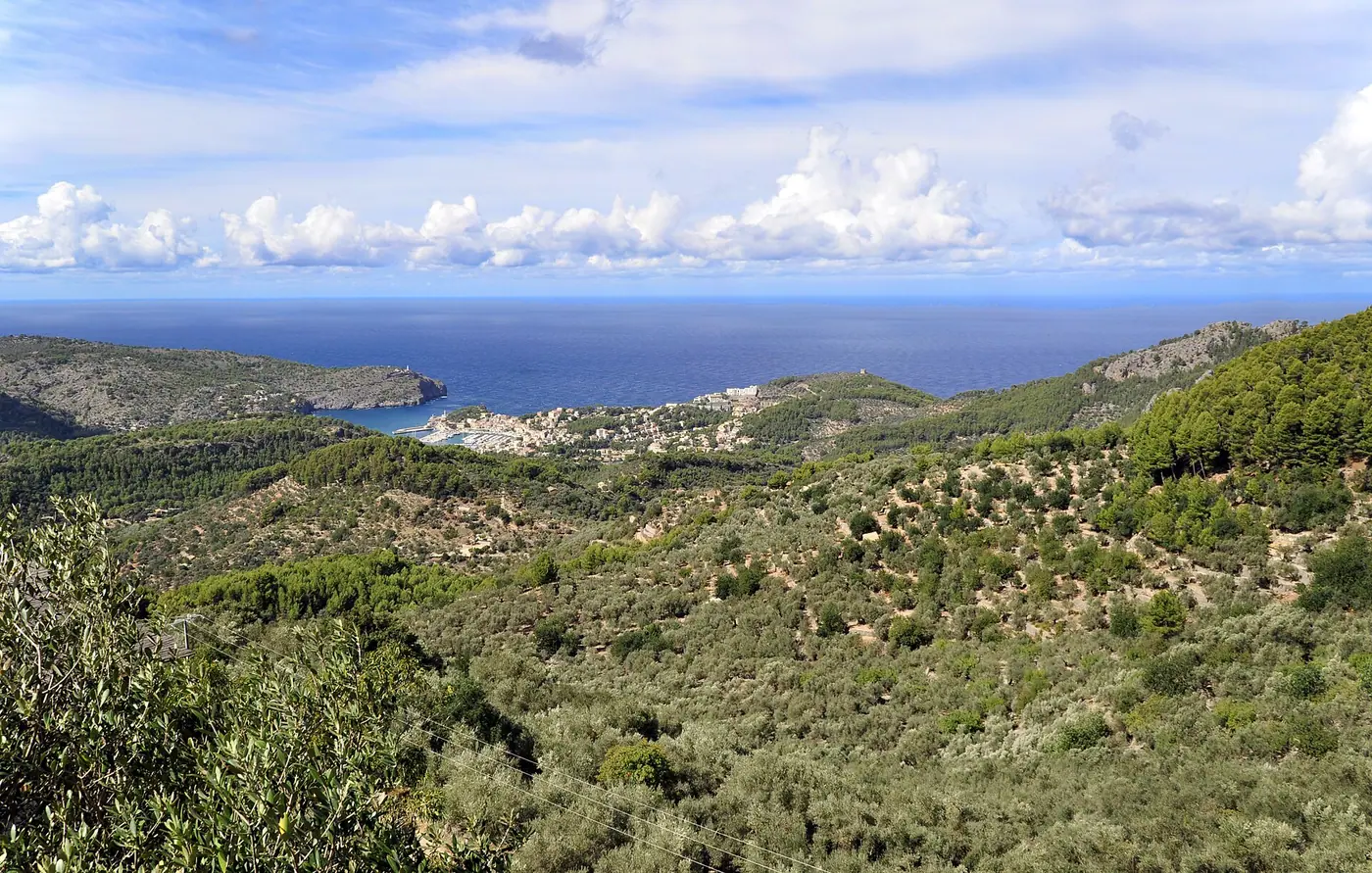 Panorama sur la vallée de Fornalutx et la côte depuis la route de la Serra de Tramuntana.