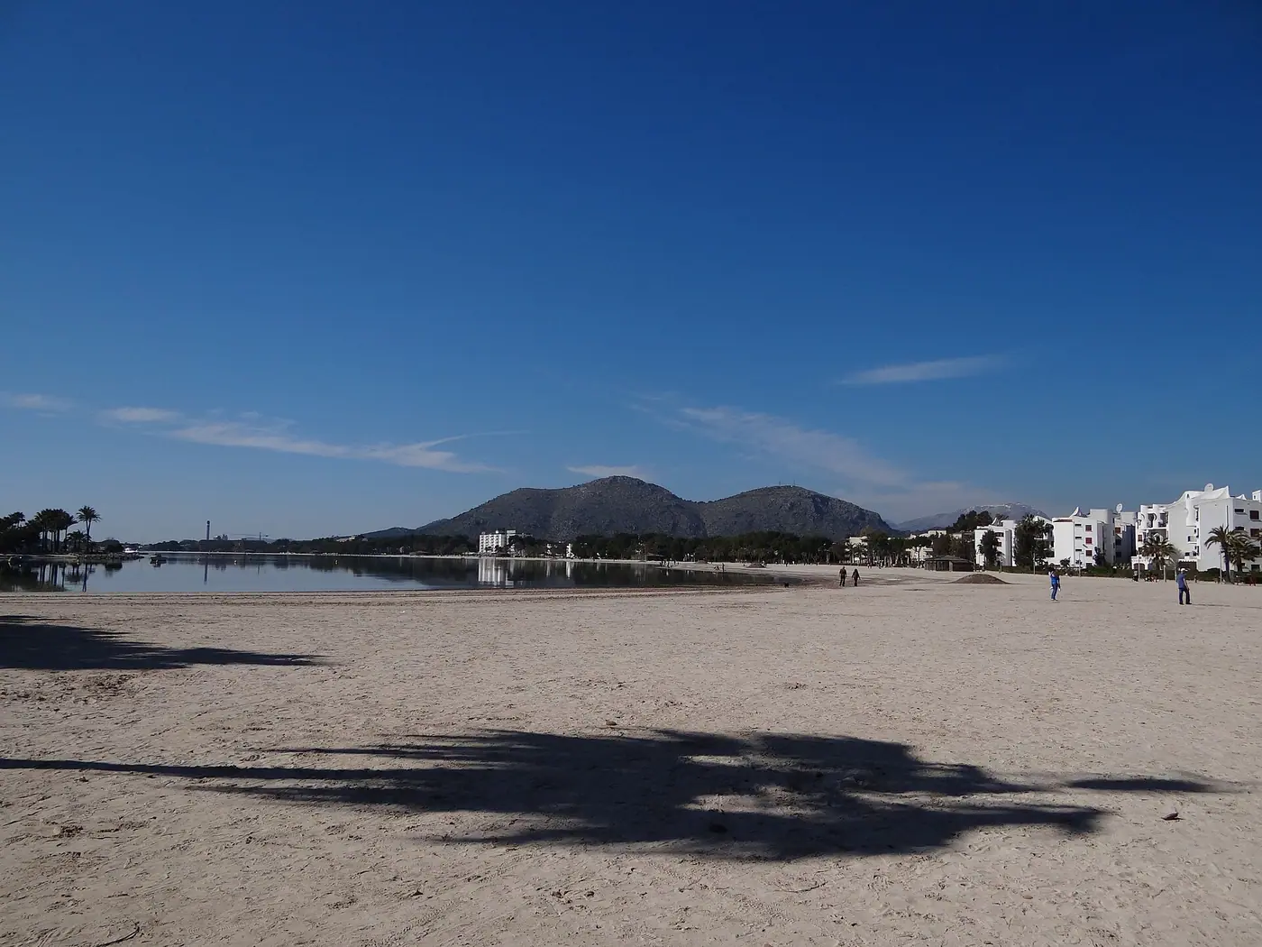 Longue plage de Port d'Alcúdia avec la marina en arrière-plan.