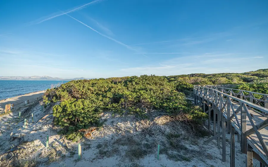 Passerelle en bois à travers les dunes de S'Albufera