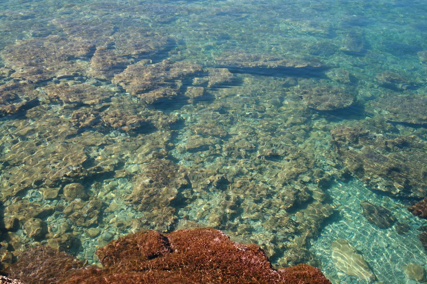 Presqu'île rocheuse et boisée de la Victòria surplombant une eau bleu turquoise.