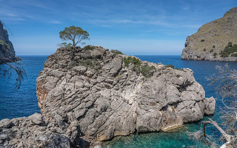 La crique de Sa Calobra vue des hauteurs, avec son pin emblématique sur le rocher.
