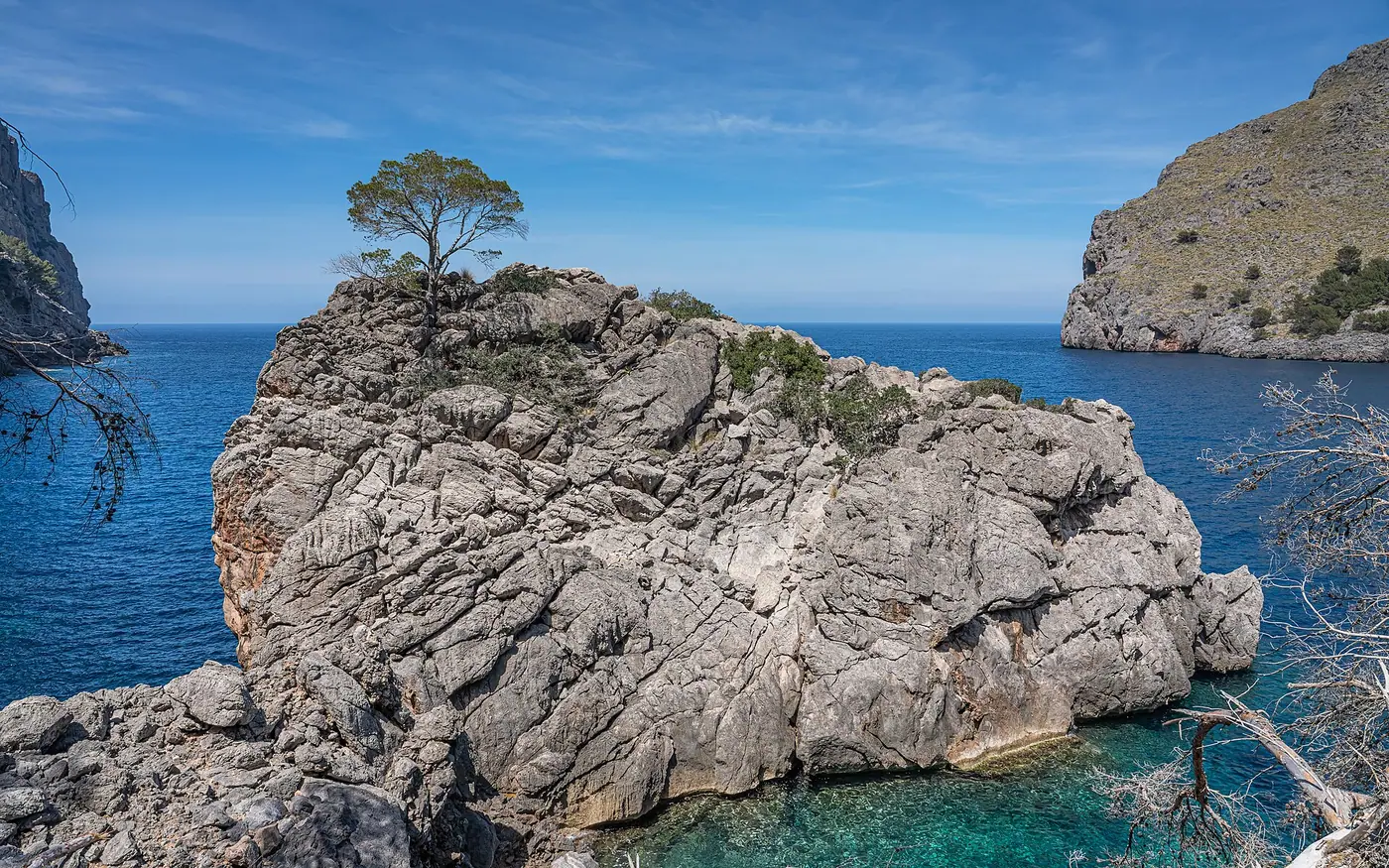 La crique de Sa Calobra vue des hauteurs, avec son pin emblématique sur le rocher.