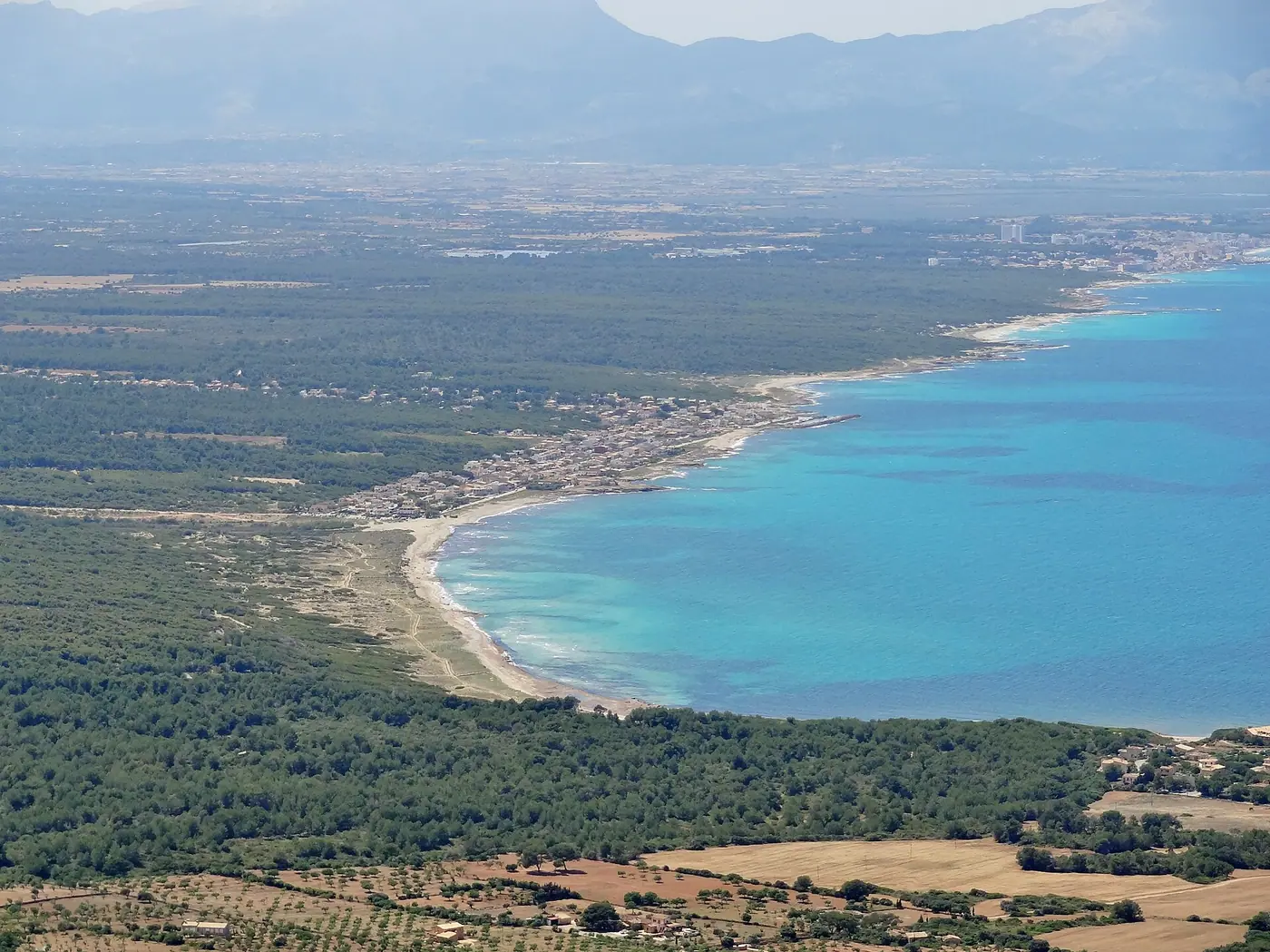 Vue aérienne de la baie turquoise de Son Serra de Marina bordée de pins.