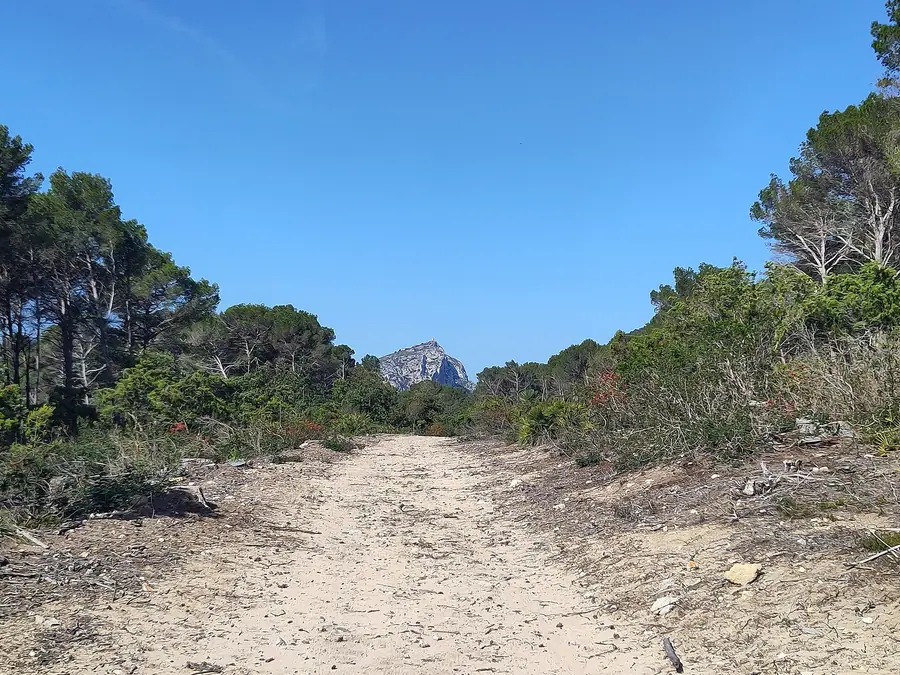 Sentier d'accès à la Talaia d'Albercutx, tour de guet dominant Formentor.
